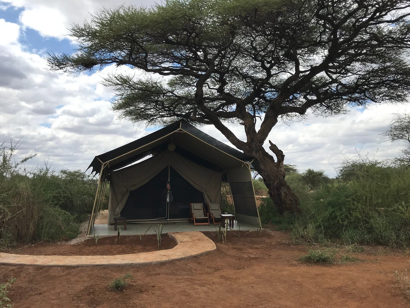 Zebra Plain Safari Camp - Amboseli hotel view 5